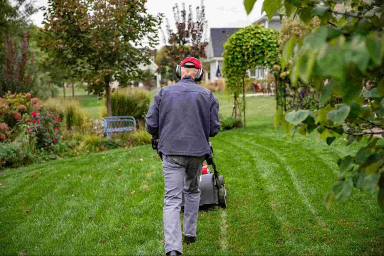 Ways to Protect Your Hearing This Summer